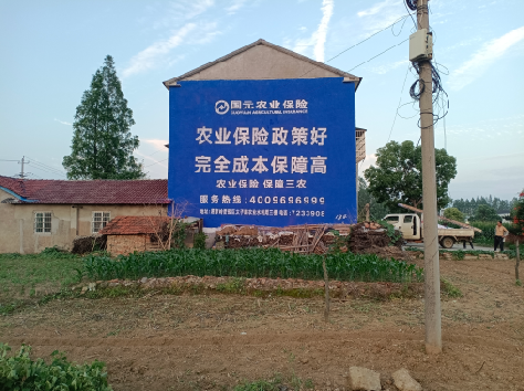 宁陵墙体广告为何受追捧？