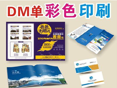 宁陵单页印刷，色彩搭配简单。